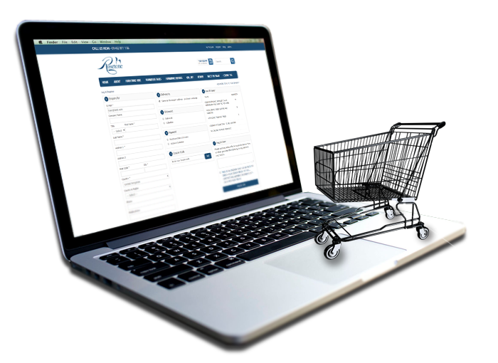 ecommerce internet-services-eshop-design